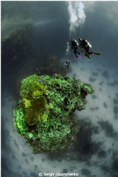 St. Johns Reef by Sergiy Glushchenko 